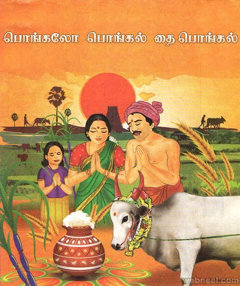 pongal greetings Happy Pongal In Tamil, Tamil Pongal, Pongal Festival Images, Pongal Greeting Cards, Tamil Village, Pongal Greetings, Sankranthi Wishes, Sankranthi Festival, Pongal Images