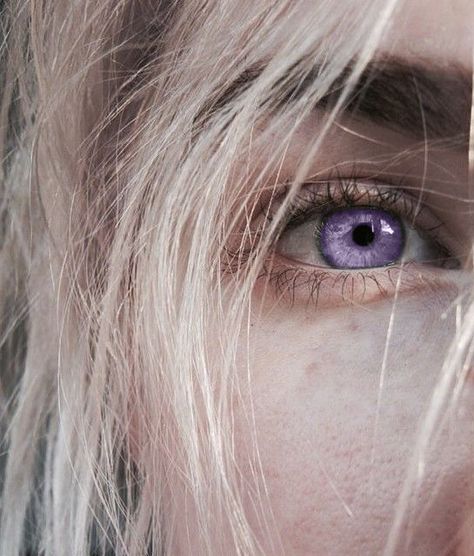 I'm sure this is photoshopped but it's still cool, purple eye Cool Eye Colors, 2 Different Color Eyes, Bleach Cosplay, Captive Prince, Fire And Blood, Yennefer Of Vengerberg, Between Two Worlds, Targaryen Aesthetic, Amedeo Modigliani