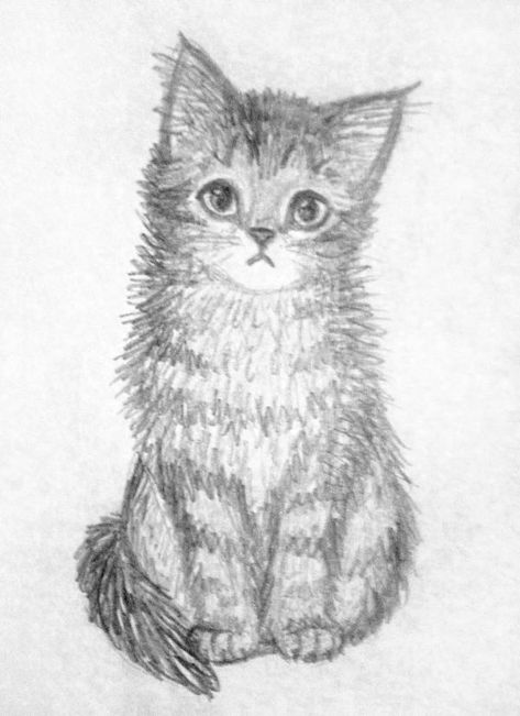 Sketch Pencil Drawings, Art Ideas Sketches, Kitten Sketch, Silverpoint Drawing, Cat Sketches, Simple Cat Drawing, Sketches Design, Cats Art Drawing, Kitten Drawing