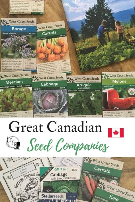 Canadian Seed Companies for Canadian Gardening | Family Food Garden Canadian Gardening, Canadian Garden Ideas, Healthy Fruits And Vegetables, Gardening Zones, Heirloom Vegetables, Seed Catalogs, Grass Seed, Seed Company, Annual Flowers