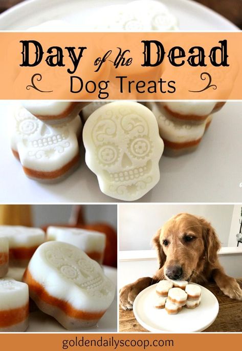 Dog Treats Diy, Halloween Dog Treats, Dog Treats Homemade, Halloween Dogs, Day Of The Dead Halloween, Treats Halloween, Recipes Pumpkin, Dog Biscuit Recipes, Easy Dog Treats