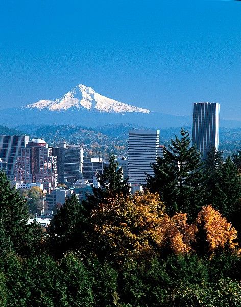 The Majestic Portland, Oregon Skyline Tall Buildings, Crater Lake, To Infinity And Beyond, Oh The Places Youll Go, Favorite City, Portland Oregon, Pacific Northwest, Travel Dreams, Beautiful World