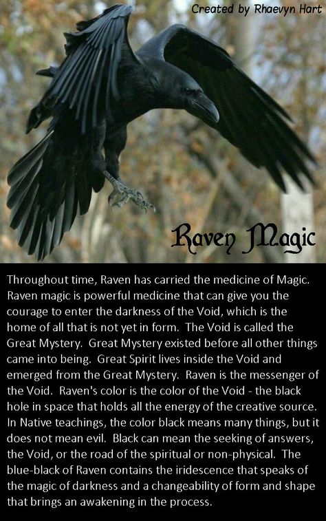 Raven Magic Druid Spells, Crow Symbolism, Raven Symbolism, Raven Magic, Raven Spirit Animal, Crow Spirit Animal, Raven Color, Spirit Animal Meaning, Raven And Wolf