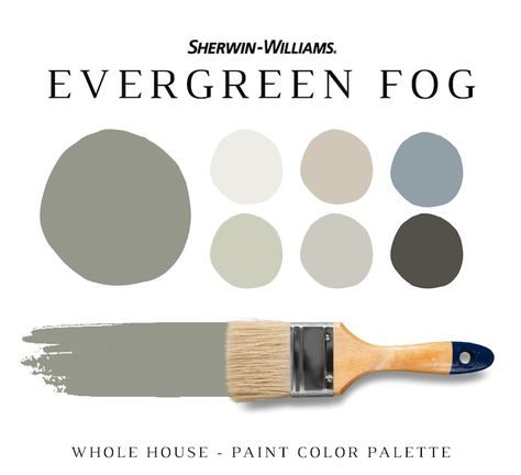 Sherwin Williams Grey, Paint Sheen Guide, Interior House Paint Colors, Woodlawn Blue, Material Color Palette, Sherwin Williams Alabaster, Sherwin Williams Color Palette, Sherwin Williams White, Balanced Beige