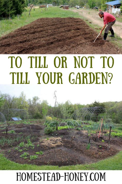 Should you till your garden or rely on no-till methods? I share my experience with both techniques. How To Till Garden, Tilling A New Garden, No Till Garden Layout, No Till Gardening, Suburban Homestead, Garden Prep, Colonial Garden, Lawn Alternatives, Hollow Earth