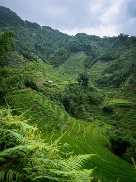 Exploring Sapa, Vietnam: What to Expect as a First-Time Visitor — noahawaii Hiking Checklist, Vietnam Backpacking, Sapa Vietnam, Northern Vietnam, Rice Terraces, Bus Tickets, Palawan, Cebu, I Can Tell