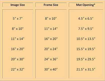 Standard photo mat and frame sizes Standard Picture Frame Sizes, Cheap Picture Frames, Picture Frame Mat, Picture Frame Sizes, Matte Photos, Picture Frame Molding, Photo Matting, Frame Matting, Photography Pictures