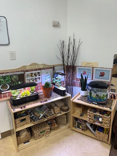 Science Table Preschool, Science Table, Reggio Inspired Classrooms, Reggio Inspired, My Classroom, Reggio Emilia, Plant Mom, Lessons For Kids, Lesson Plan