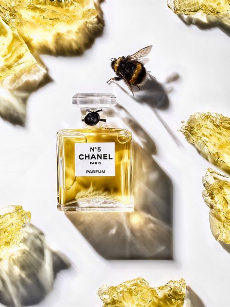 CHANEL NO 5 on Behance Chanel No5, Fragrance Photography, Parfum Chanel, Discount Design, Mini Perfume, Instagram Prints, Chanel No 5, Chanel Perfume, Classic Brides