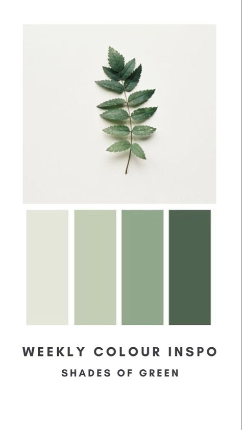 Green Wedding Swatches, Shades Of Green Palette Wedding, Olive Pallet Colour Palettes, Shades Of Green For Wedding, Different Shades Of Green Bridesmaids Color Palettes, Mint Green Color Pallete, Green Olive Wedding Theme, Wedding Green Palette, Elegant Green Color Palette