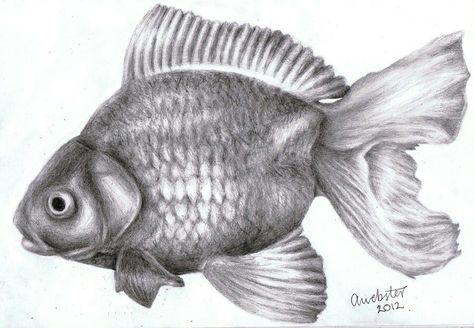 Fish Pencil Drawing, Ocean Creatures Art, Realistic Animal Drawings, Koi Fish Drawing, Drawn Fish, Fish Drawing, Pencil Drawing Tutorials, Realistic Pencil Drawings, Fish Drawings