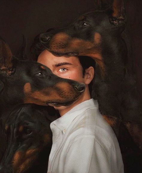 14 Signs You’re A Crazy Doberman Pinscher Person! Crazy Obsessed, Doberman Art, Dog Photoshoot, Animal Magic, Doberman Pinscher, Dog Drawing, Dog Photography, Character Aesthetic, Best Art