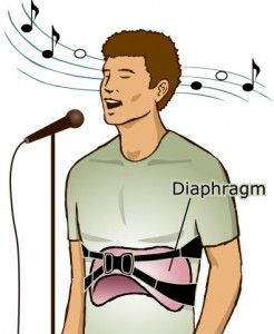 Breath Support and Singing – How Are They Related? Vocal Warmups, Singing Exercises, Learn Singing, Vocal Lessons, Vocal Exercises, How To Sing, Singing Tips, Singing Lessons, Architecture 3d