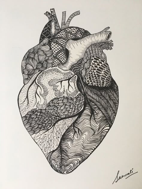 Heart Sketch Creative, Heart Doodle Aesthetic, Abstract Heart Drawing, Human Heart Drawing Sketches, Atomically Heart Drawing, Human Heart Sketch Simple, Heart Drawing Aesthetic, Human Heart Pencil Drawing, Zentangle Heart