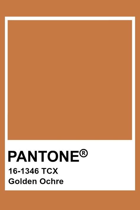 2019-2020 Autumn Winter "Noon" Golden Ochre Pantone Rose, Contact Photos, Pantone Orange, Pantone Tcx, Pantone Red, Pantone Colours, Pantone Swatches, Pantone Palette, Pantone Colour Palettes