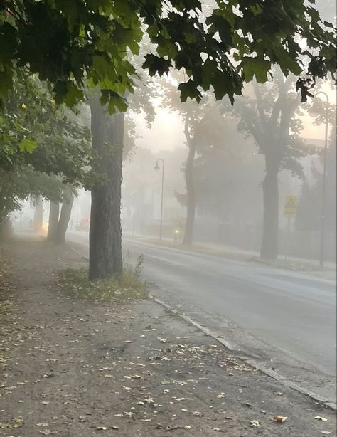 A foggy road road flames by trees Cloudy Morning Aesthetic, Foggy Street, Cloudy Aesthetic, Cloudy Morning, Aesthetic Morning, Morning Aesthetic, Property Design, Morning Sky, White Sky