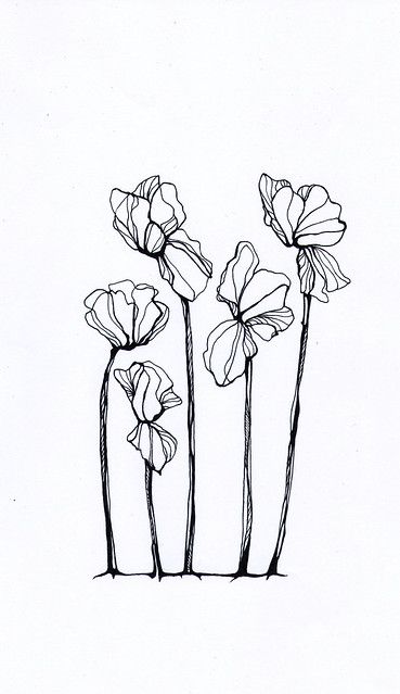 Cyclamen Flower Tattoo, Cyclamen Flower Drawing, Cyclamen Drawing, Cyclamen Tattoo, Abstract Flower Tattoo, Abstract Flower Tattoos, Cyclamen Flower, Textiles Patterns, Hip Thigh Tattoos