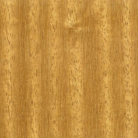 Iroko Wood Iroko Wood, Wood Things, Material Library, Wood Texture, Oman, Mood Board, Google Search, Texture, Wood