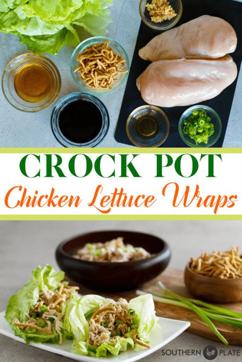 Instapot Ideas, Gf Lunch, Easy Crock Pot Chicken, Salat Wraps, Appetizer Wraps, Instant Loss, Chicken Lettuce Wraps Recipe, Picnic Potluck, Crockpot Chicken Healthy