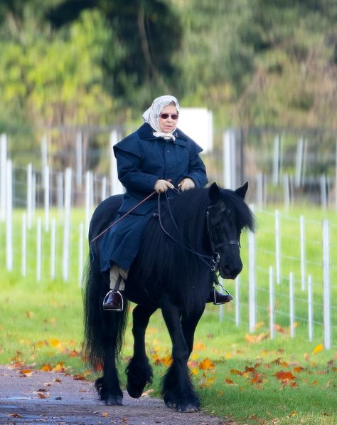 Ratu Elizabeth, Rainha Elizabeth Ii, Shetland Pony, Elisabeth Ii, Isabel Ii, Queen Of England, Her Majesty The Queen, Windsor Castle, Duchess Of Cornwall