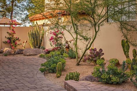 Desert Garden Paths And Walkways, Desert Scape Backyard, Southwest Backyard Ideas, Desert Yard Landscaping, Arizona Xeriscape, Southwest Landscape Ideas, Arizona Landscaping Ideas Backyard, Dessert Landscape Front Yard, High Mountain Desert Landscaping