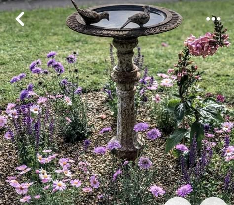 Aesthetic Bird House, Birdbath Ideas Landscaping, Birdbath Landscaping, Bird Bath Ideas, Garden Bird Bath, Bird Fountain, Dream Together, Bath Garden, Backyard Water Feature