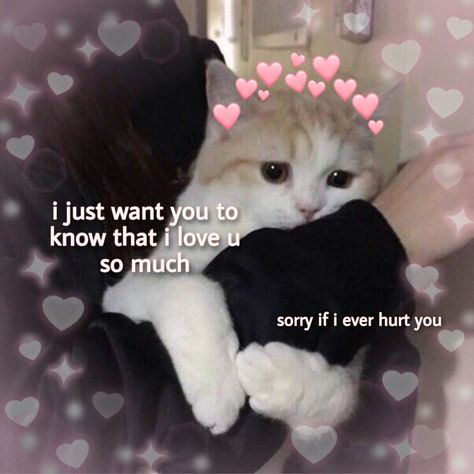 cute wholesome cat i love you Love You Cat Funny, Wholesome Pictures For Him, Cute Cats With Text, I Pretend I Do Not See It, Wholesome I Love You, Hug Wholesome, Cute Cat I Love You, I Love You Cute Pics Aesthetic, Cat Love You