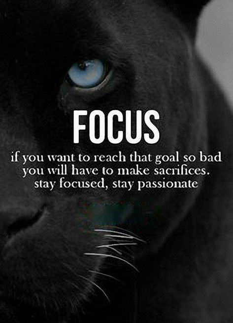 Focused Quotes, Stay Focused Quotes, Motivational Quotes For Athletes, Stay Focus, Focus Quotes, House Quotes, Inspirational Life Lessons, Amazing Inspirational Quotes, Psychology Quotes