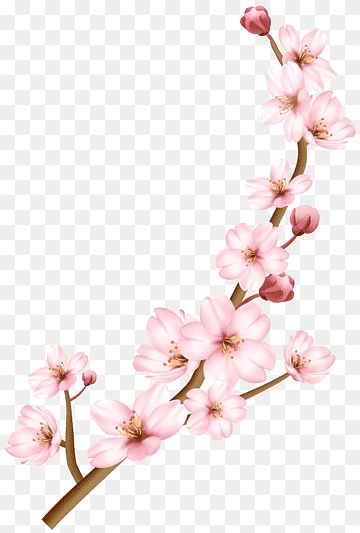 Flower Tree Drawing, Sakura White Background, Cartoon Cherry Blossom Tree, Cherry Blossom Single Flower, Cherry Blossom Png, Cherry Blossom Clip Art, Flowers Cherry Blossom, Cherry Blossom Vector, Wood Png