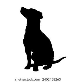 Jack Russell Terrier sitting Dog silhouette High quality Breeds Bundle Dogs on the move. Dogs in different poses. jumps, runs. dog is sitting. The dog is lying down. The dog is playing Tattoo Silhouette, Sitting Dog, Different Poses, Silhouette Images, Jack Russel, Dog Silhouette, Dog Tattoo, Russell Terrier, Jack Russell Terrier