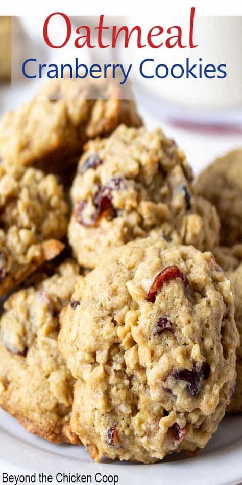 Cranberry Orange Oatmeal Cookies, Orange Oatmeal Cookies, Cranberry Orange Oatmeal, Oatmeal Craisin Cookies, Cranberry Treats, Dried Cranberries Recipes, Cranberry Cookie, Orange Oatmeal, Cranberry Oatmeal Cookies