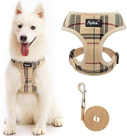 PUPTECK Soft Mesh Dog Harness and Leash Set Pet Puppy Cat Comfort Padded Vest No Pull Harnesses, Beige, L Harness And Leash Set, Walking Harness, Small Dog Harness, Puppy Harness, Dog Pads, Padded Vest, Dog Vest Harness, Cat Harness, Dog Vest