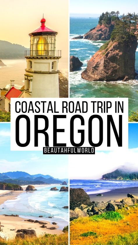 The Ultimate Oregon Coast Road Trip + Secret Expert Tips Oregon Hiking Trails, Oregon Coast Road Trip, Oregon Dunes, Coast Photography, Pacific Northwest Travel, Ecola State Park, Southern Oregon Coast, Road Trip Map, Usa Destinations