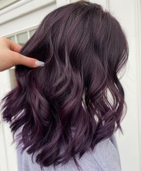 Fall Violet Hair Color, Dark Grape Hair Color, Hint Of Purple Hair, Grape Hair Color Dark Purple, Dark Lavender Hair Color, Dark Brown Hair With Plum Highlights, Grape Color Hair, Violet Hair Short, Grape Violet Hair Color