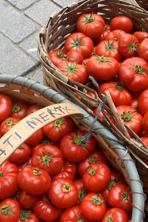 Sorrento Food Tours -- Summer bucket list 2024 Summer list Beautiful places to travel Dream vacation Travel goals Travel Vacation picture Travel Destinations Things to do in the summer Italian style 2024 Italian summer 2024 Italian fashion 2024  Mediterranean fashion style Greece fashion European summer aesthetic Italian summer outfit Aesthetic Women's clothes Women fashion Fashion designer Candid style Women's style  Trends 2024 Aesthetic pictures Currently wearing Old money aesthetic Rustic Italian Aesthetic, Tuscan Summer Aesthetic, Italian Aesthetic Food, Tomato Aesthetic, Old Italian Aesthetic, Tomato Party, Mediterranean Fashion, Sicilian Summer, Picture Travel