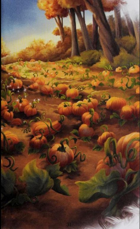 Foggy Pumpkin Patch, Pumpkin Patch Drawing, Pumpkin Patch Art, Pumpkin Patch Painting, Pumpkin World, Disney Fairies Pixie Hollow, Pumpkin Field, Pumpkin Drawing, Pumpkin Illustration