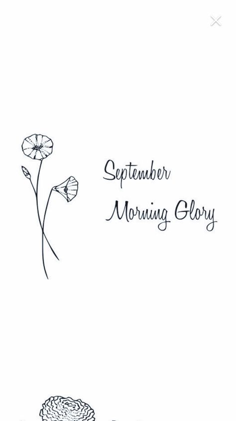 Morning Glory Finger Tattoo, Tiny Morning Glory Tattoo, Morning Glory Minimalist Tattoo, Morning Glory Line Drawing, Morning Glory Tattoo Simple, Morning Glory Tattoo, Glory Tattoo, Matching Friend Tattoos, Crown Tattoo Design