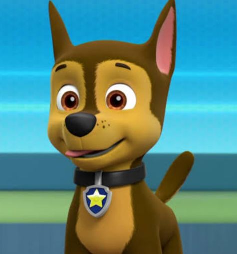 Paw Patrol Zuma, Zuma Paw Patrol, Paw Patrol Chase, Paw Patrol Characters, Paw Patrol Pups, Chase Paw Patrol, Paw Patrol, Pikachu, Funny Pictures