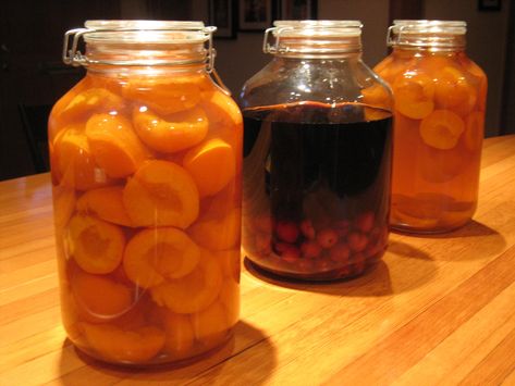 Apricot brandy & cherry cordial – Our Home Works Apricot Brandy Recipe, Homemade Liqueur Recipes, Brandy Recipe, Apricot Brandy, Infused Liquors, Cordial Recipe, Home Works, Homemade Alcohol, Cherry Cordial