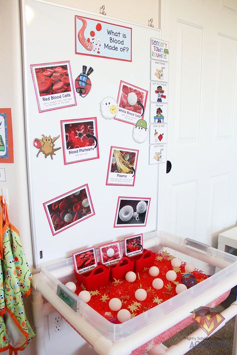 What Is Blood Made Of Science For Kids, Human Body Sensory Table, Circulatory System Preschool, Bodies Preschool Activities, Heart Health Preschool Activities, Preschool Human Body Theme, Human Body Preschool Activities, Human Body Preschool, Human Body Homeschool