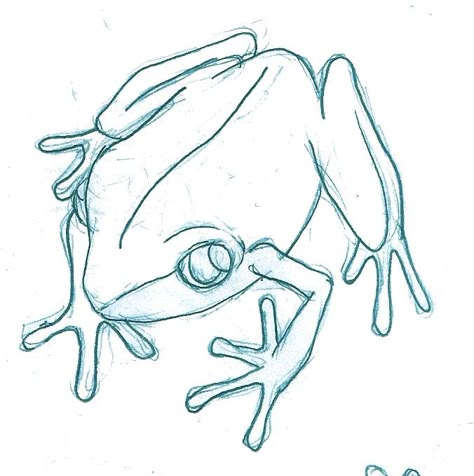 Coqui Frog Drawing, Puerto Rican Frog Tattoo, Puerto Rico Drawings, Puerto Rico Coqui Tattoo, Puerto Rican Coqui Frog Tattoo, Puerto Rico Island Outline, Sol Taino, Coqui Frog, Puerto Rico Art