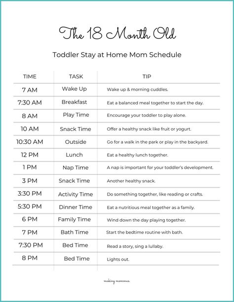 First Time Mom Schedule, 19 Month Old Schedule, Schedule For Stay At Home Mom, 20 Month Old Schedule, 17 Month Old Schedule, Schedule For Toddlers At Home, 17 Month Old Milestones, 15 Month Old Schedule, 13 Month Old Schedule