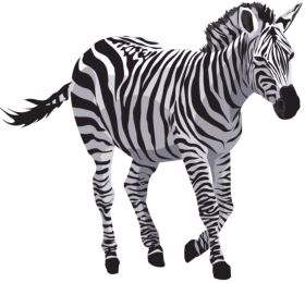 Zebra Print Background, Zebra Background, Zebra Coloring Pages, Aesthetic Clipart, Zebra Clipart, Zebra Cartoon, Zebra Drawing, Preschool Activities Toddler, Wild Safari