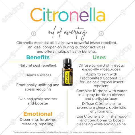 All Natural Cleaners, Citronella Essential Oil, Lemon Uses, Lemon Benefits, Doterra Wellness Advocate, Citronella Oil, Essential Oils Health, Sticker Removal, Citronella Candles