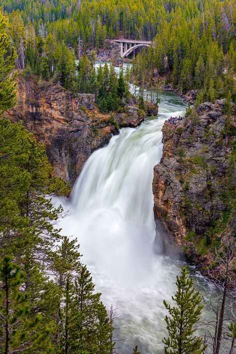 Fishing Bridge Yellowstone, Green River Lakes Wyoming, Yellow River China, Yellow River, Forest Cottage, Yellowstone River, Wyoming Travel, Yellowstone Park, Famous Waterfalls