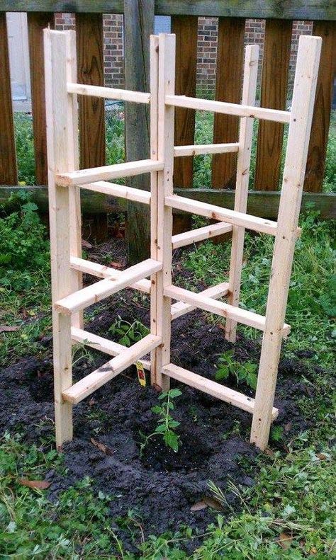 Diy Tomato Trellis, Veg Gardens, Tomato Trellis, Locker Hooking, Backyard Dreams, Trellis Plants, Garden Veggies, Garden Plans, Veg Garden