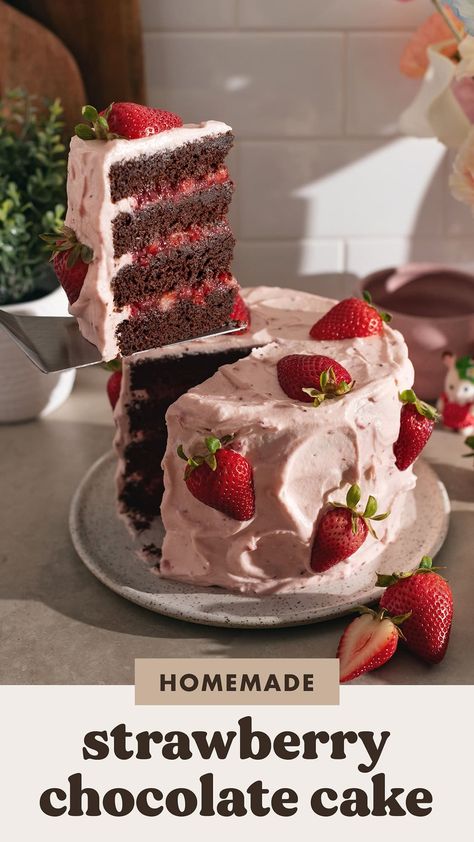 4 Layer Strawberry Cake, Chocolate Cake With Strawberry Cream Cheese Filling, Yummy Cake Recipe, Good Cakes For Birthdays, Cake Recipes Beginner, Simple Birthday Cake Strawberry, Homemade Cake For Birthday, Cake Recipes One Layer, Strawberry Shaped Birthday Cake