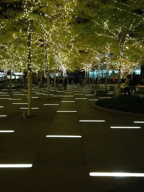 Visit City Lighting Products! https://www.linkedin.com/company/city-lighting-products Park Lighting, Plaza Design, Paving Pattern, Landscape Lighting Design, Urban Lighting, Outdoor Landscape Lighting, Landscape Architecture Design, Backyard Lighting, Trondheim