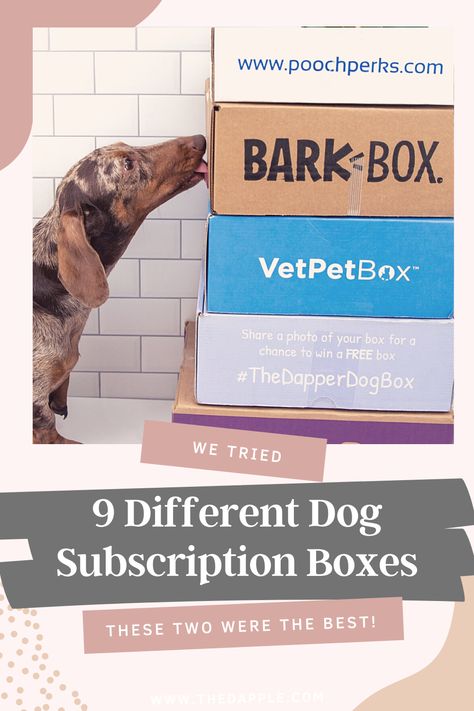 Best Dog Subscription Box Pet Subscription Boxes, Dog Subscription Boxes, Animal Branding, Cleaning Packaging, Dog Brands, Holistic Dog Care, Dog Rescue Stories, Dog Gift Box, Diy Dog Toys