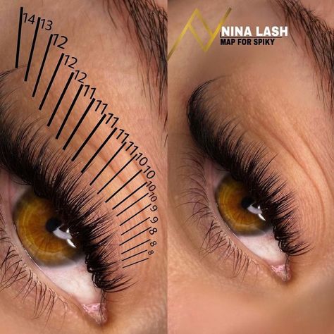 Sally on Instagram: “@topstareyelashes001 LASH MAPPING GUIDE🤩🤩 Curl:CC Using lash maps helps you create perfect symmetry between the eyes when applying for…” Eyelash Ideas, Lash Maps, Eyelashes Tutorial, Natural Fake Eyelashes, Lash Mapping, Lashes Tutorial, Lashes Fake Eyelashes, Eyelash Tips, Eyelash Technician